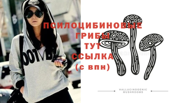метадон Бородино
