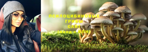метадон Бородино